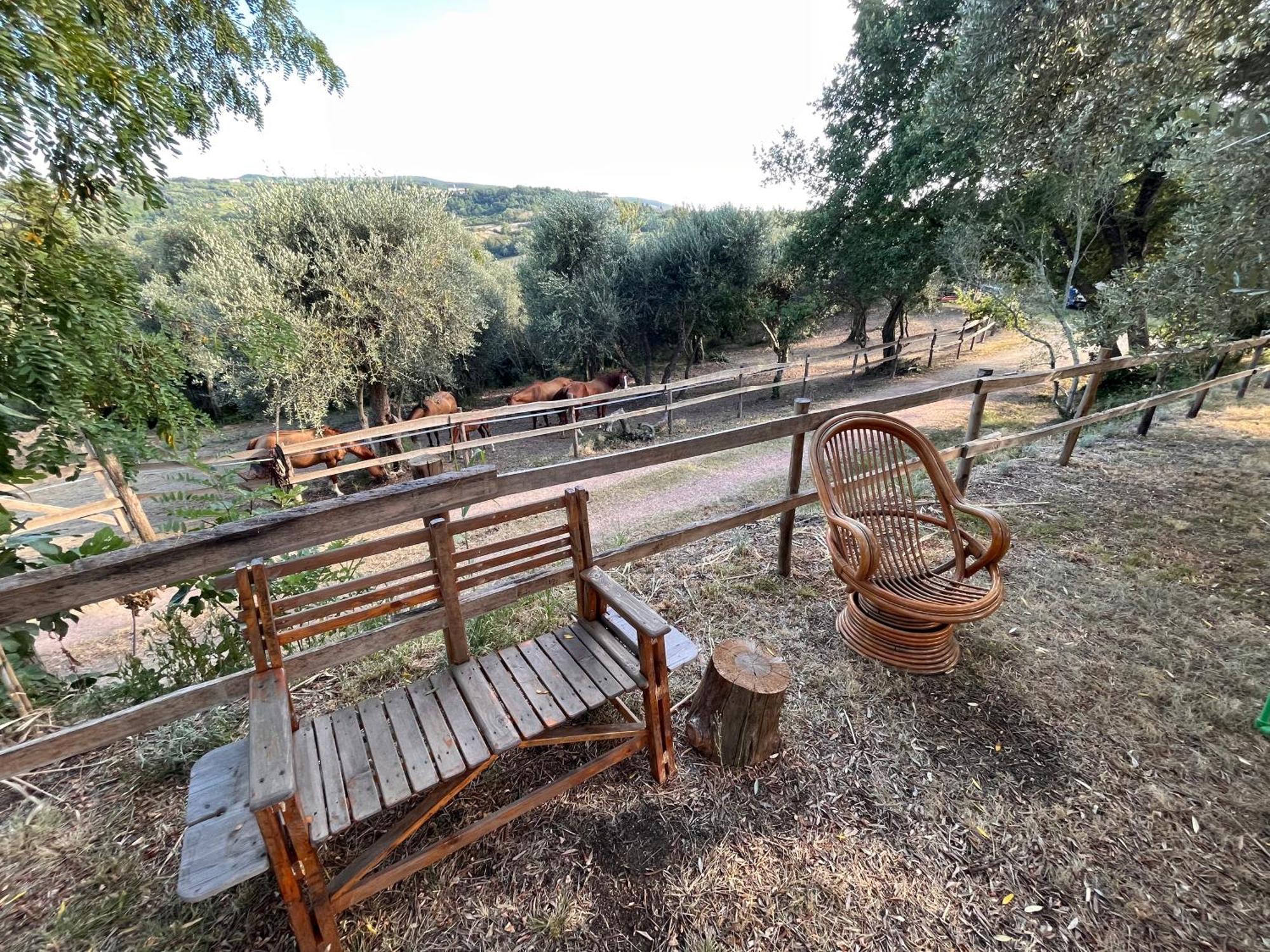 Podere Orzale Agri Hospitality Usigliano Exterior foto