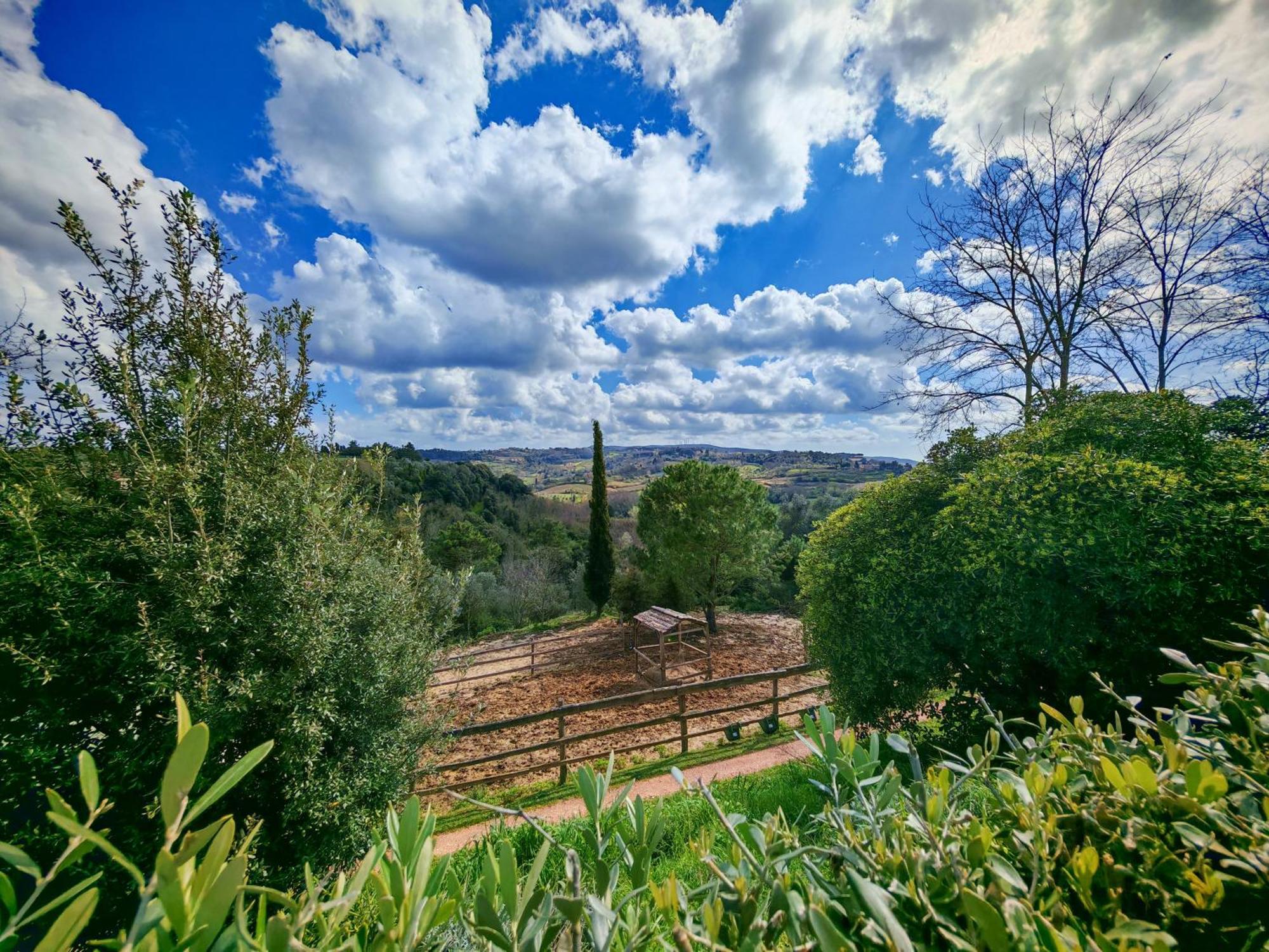 Podere Orzale Agri Hospitality Usigliano Exterior foto